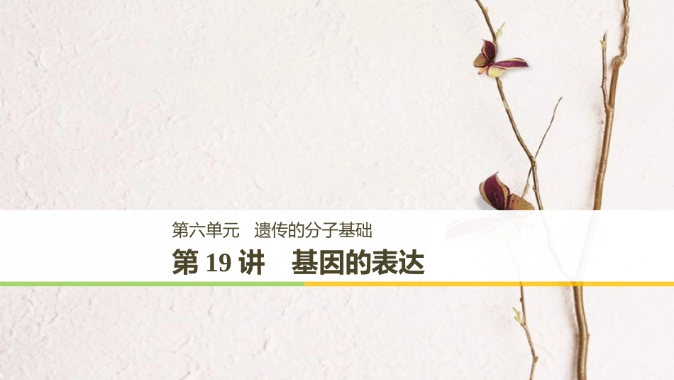 高考生物大一轮复习 第六单元 遗传的分子基础 第19讲 基因的表达课件(1)_第1页
