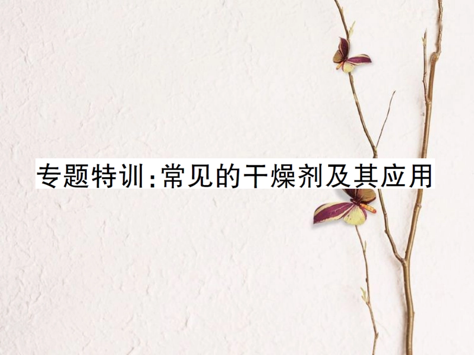 九年级化学下册 专题特训 常见的干燥剂及其应用习题课件 （新版）鲁教版_第1页