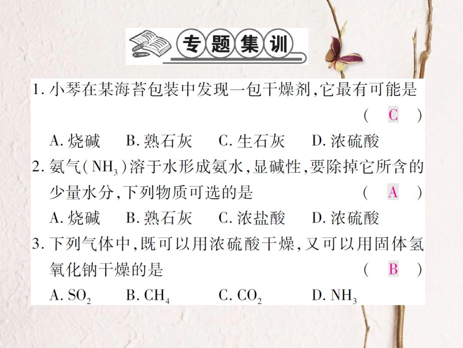 九年级化学下册 专题特训 常见的干燥剂及其应用习题课件 （新版）鲁教版_第2页
