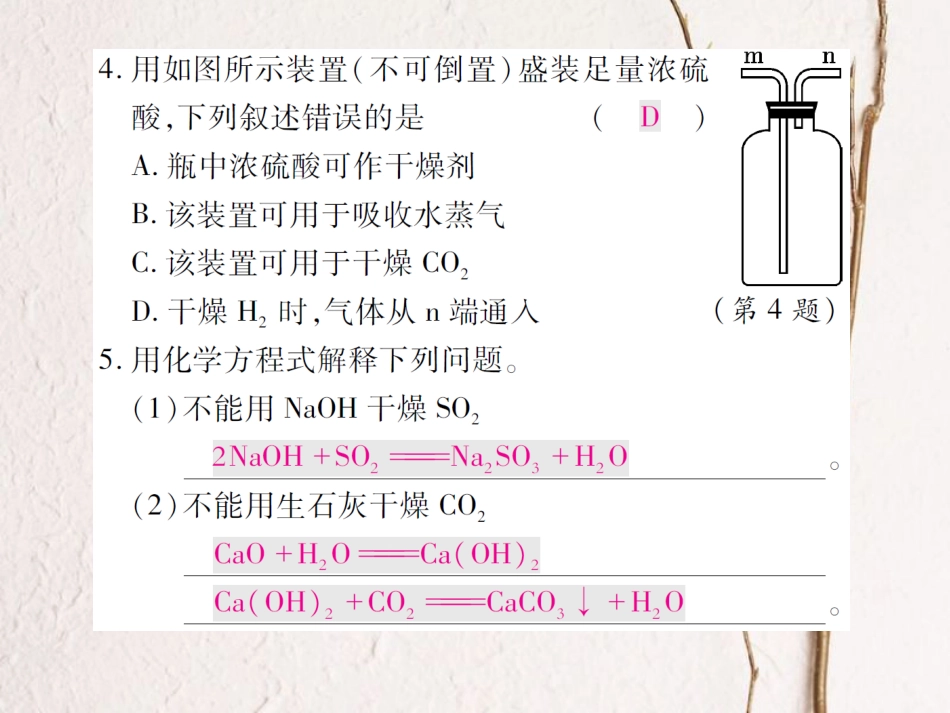 九年级化学下册 专题特训 常见的干燥剂及其应用习题课件 （新版）鲁教版_第3页