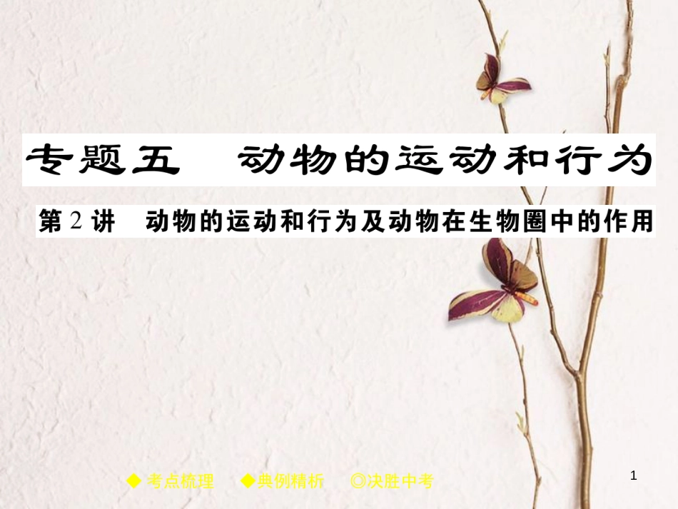 中考生物总复习 专题突破五 动物的运动和行为 第2讲课件_第1页