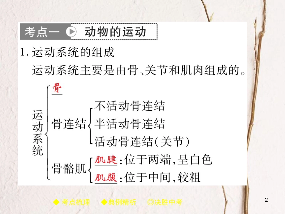 中考生物总复习 专题突破五 动物的运动和行为 第2讲课件_第2页