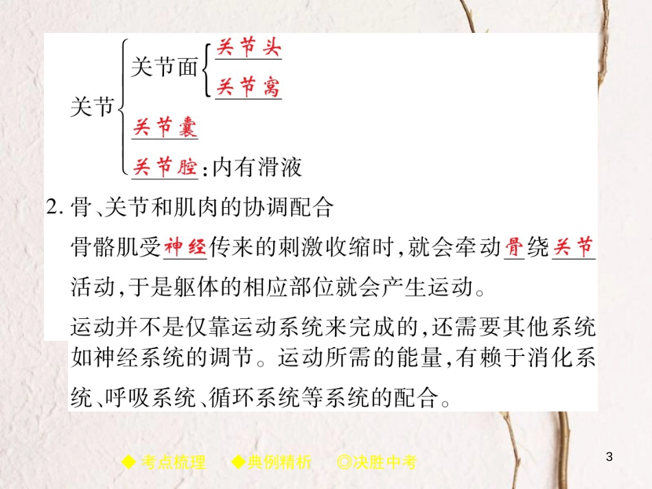 中考生物总复习 专题突破五 动物的运动和行为 第2讲课件_第3页