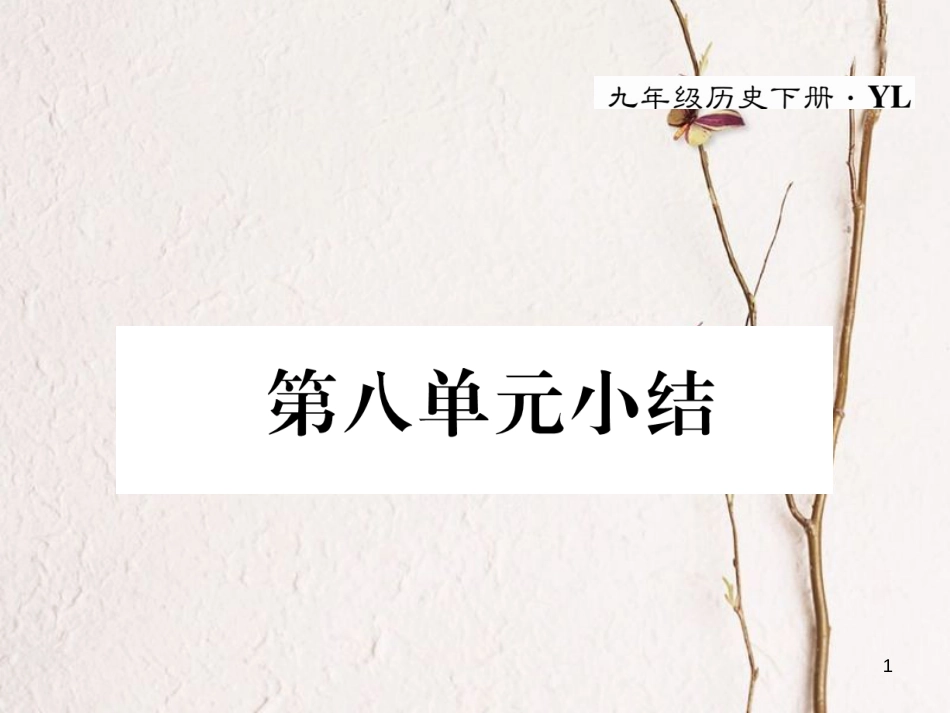 九年级历史下册 第八单元 科学技术和文化小结作业课件 岳麓版(1)_第1页
