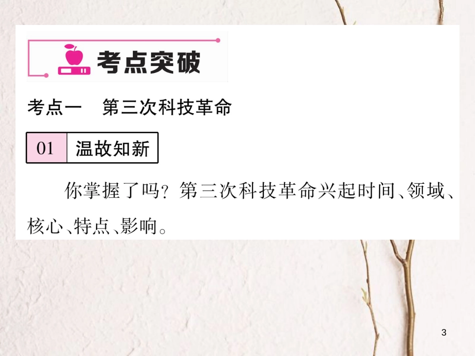 九年级历史下册 第八单元 科学技术和文化小结作业课件 岳麓版(1)_第3页