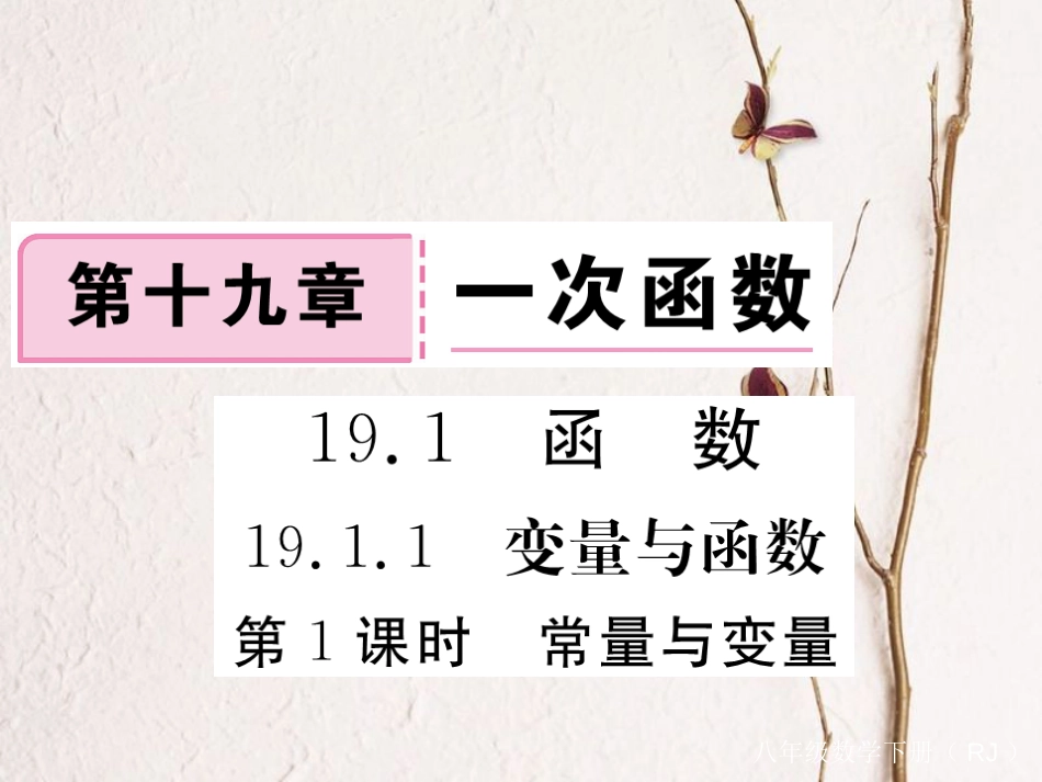 河北省八年级数学下册 19.1 变量与函数 19.1.1 变量与函数 第1课时 常量与变量练习课件 （新版）新人教版_第1页