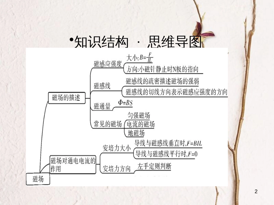 高考物理一轮总复习 专题9 磁场专题热点综合课件_第2页