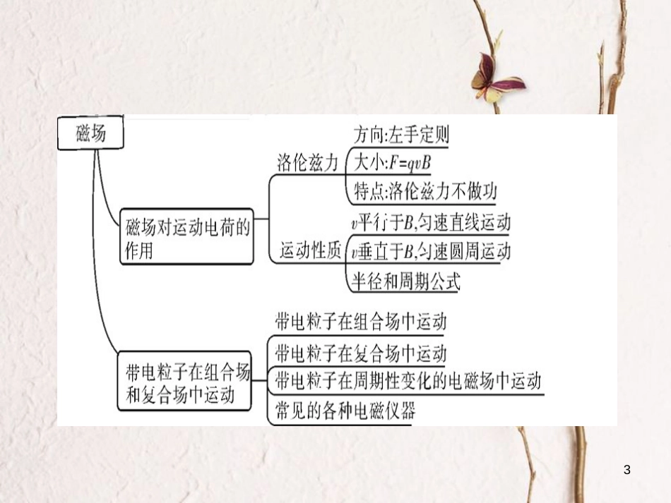 高考物理一轮总复习 专题9 磁场专题热点综合课件_第3页