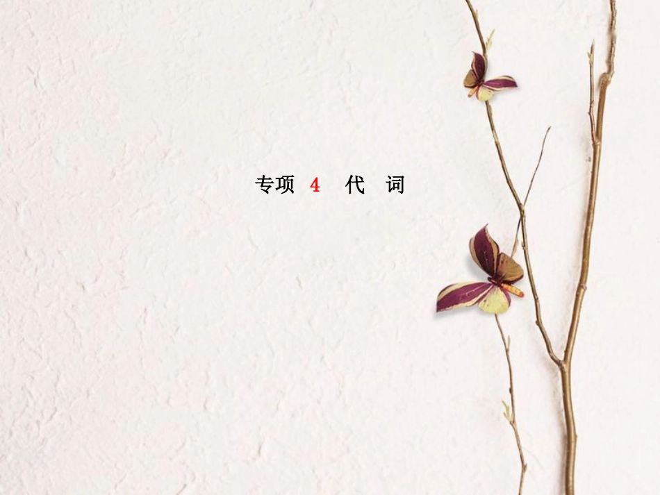 安徽省中考英语 第二部分 专题语法 高效突破 专项4 代词课件(1)_第2页