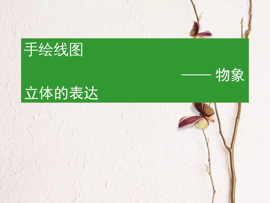 七年级美术下册 2 手绘线条图像——物象立体的表达课件4 人美版(1)_第1页