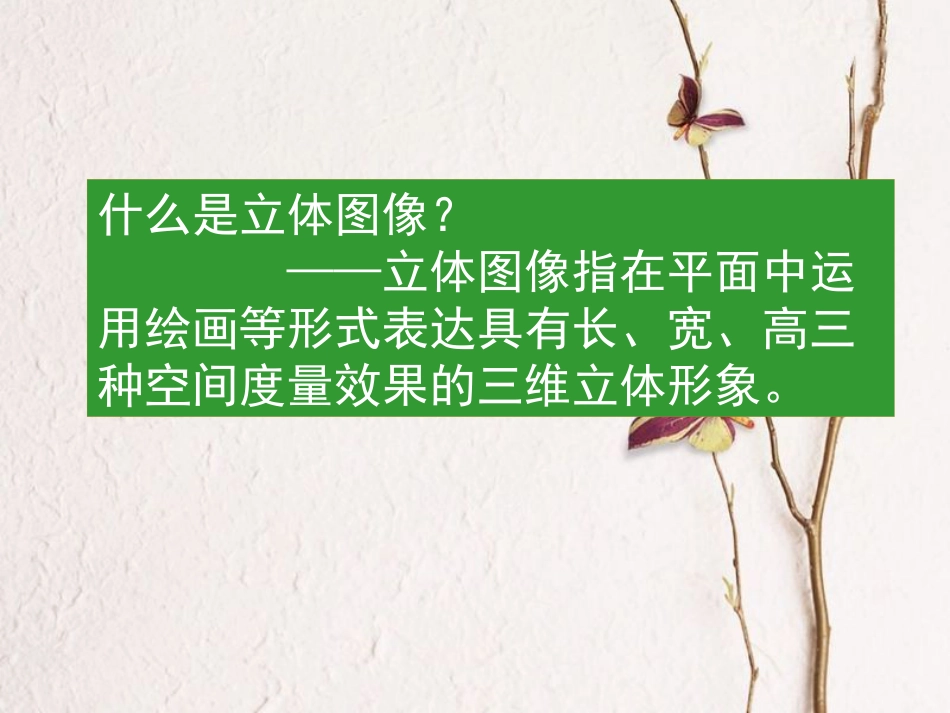 七年级美术下册 2 手绘线条图像——物象立体的表达课件4 人美版(1)_第2页