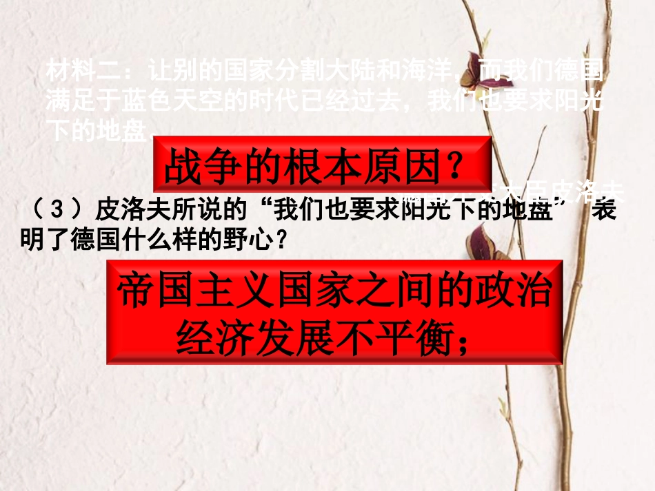 山东省滨州市惠民县大年陈镇中考历史一轮复习 两次世界大战课件 新人教版(1)_第3页