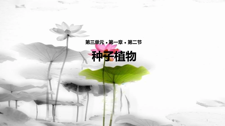 七年级生物上册 第三单元 第一章 第二节《种子植物》课件 （新版）新人教版(1)_第1页