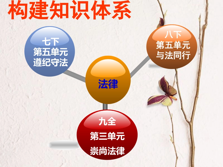 江苏省扬州市中考政治 中国梦法治梦复习课件(1)_第3页