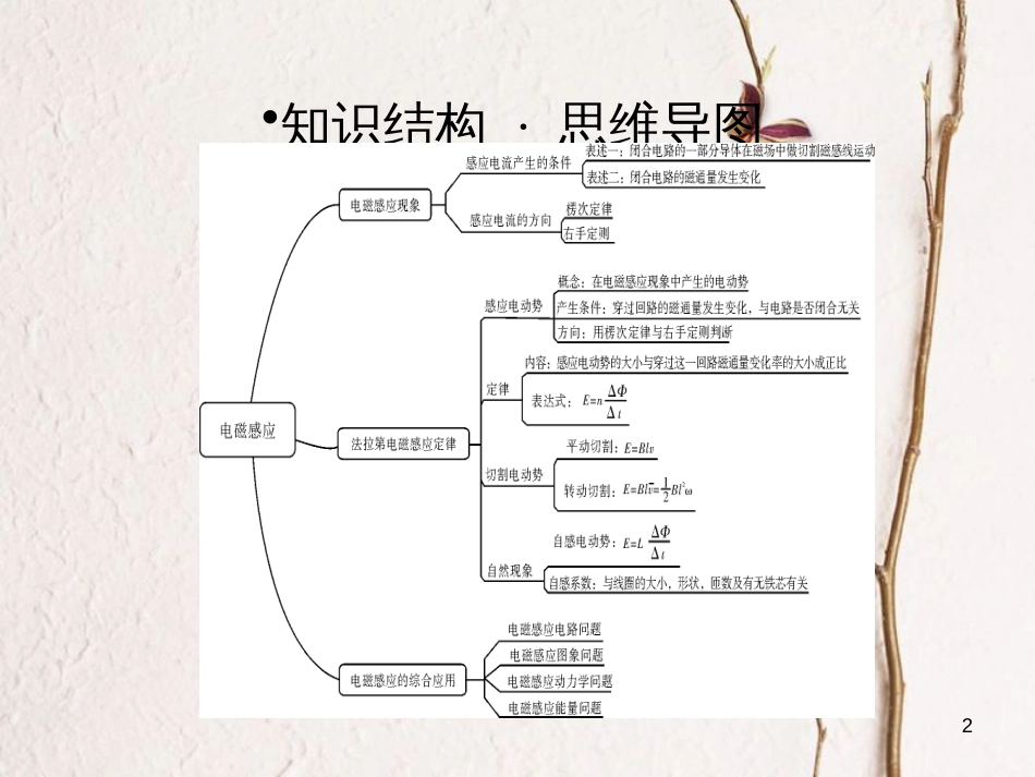 高考物理一轮总复习 专题10 电磁感应专题热点综合课件_第2页