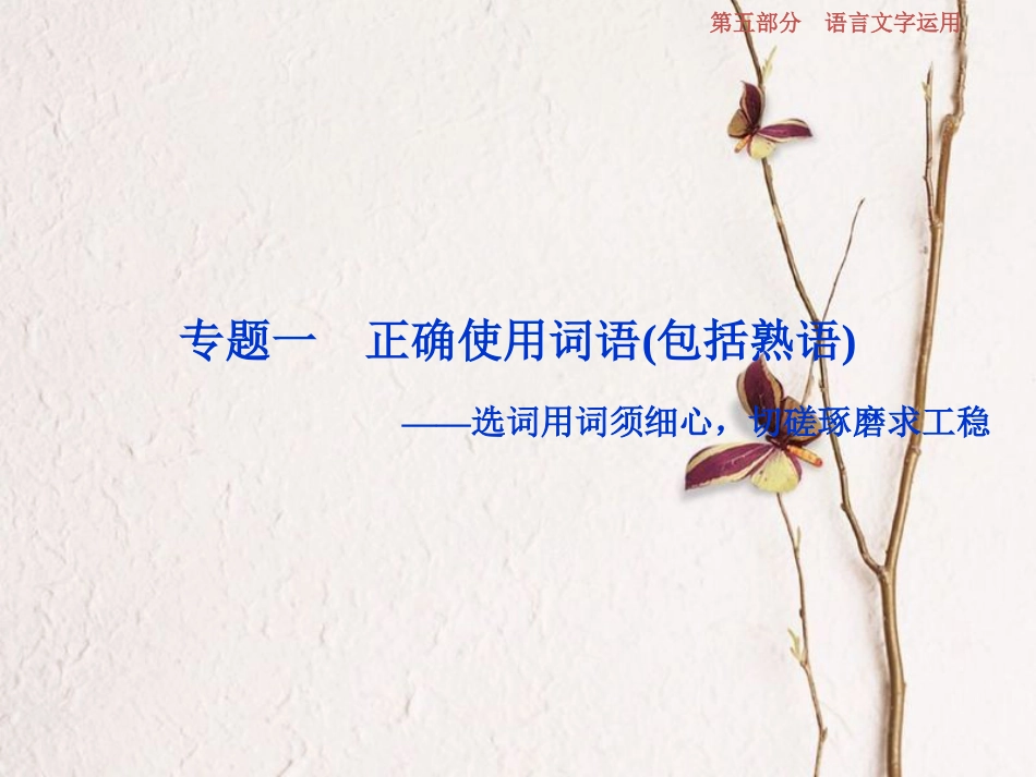 2019高考语文一轮总复习 第五部分 语言文字运用 1 专题一 正确使用词语（包括熟语）课件_第2页