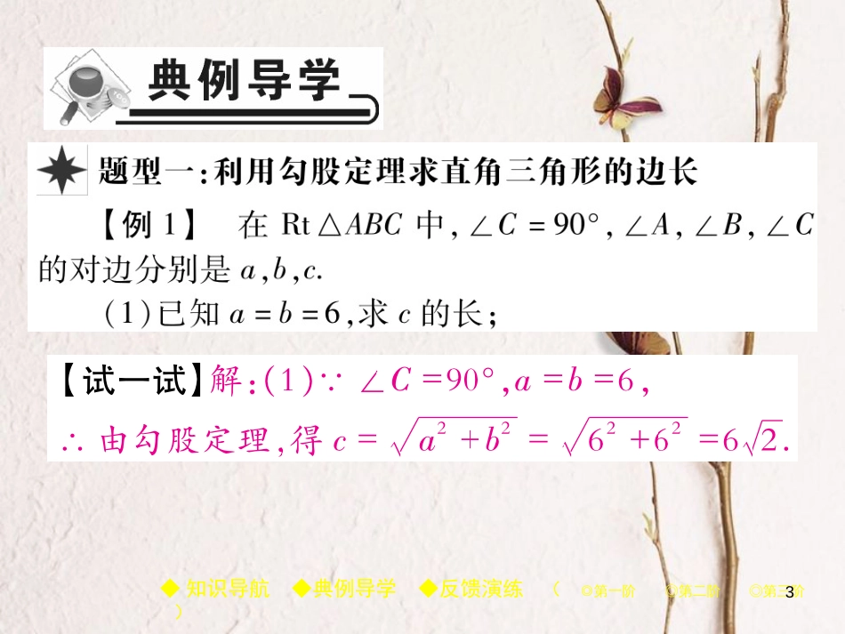 八年级数学下册 17《勾股定理》17.1 勾股定理 第1课时 勾股定理习题课件 （新版）新人教版_第3页