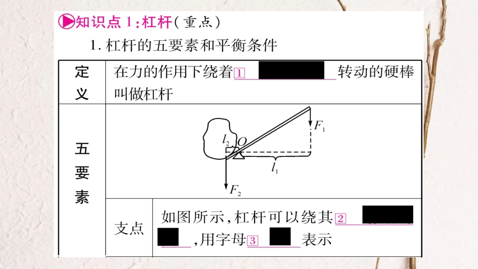 中考物理一轮复习 第12讲 简单机械 第1课时课件 新人教版_第2页
