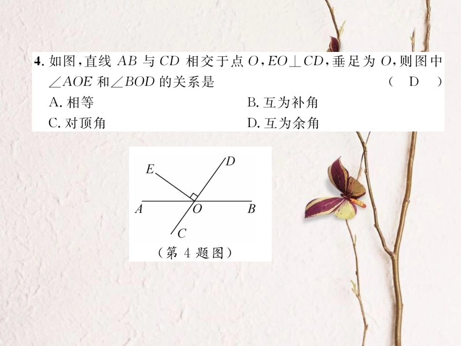 （成都专版）春七年级数学下册 期中达标测试卷作业课件 （新版）北师大版(1)_第2页