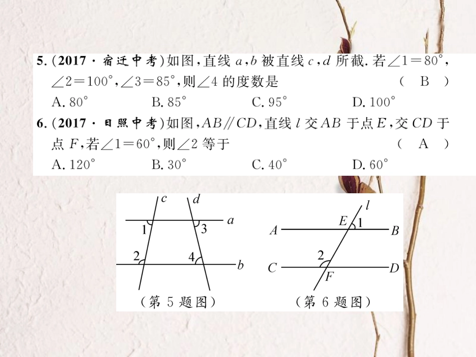 （成都专版）春七年级数学下册 期中达标测试卷作业课件 （新版）北师大版(1)_第3页