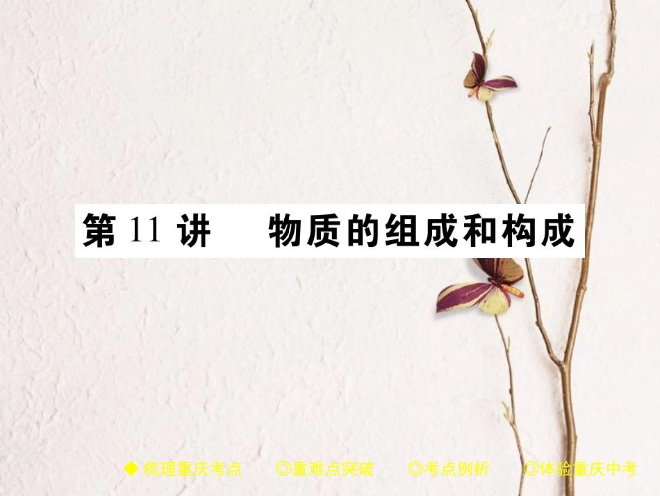 （重庆专版）中考化学总复习 第一篇 教材知识梳理 模块二 化学基本概念和原理 第11讲 物质的组成和构成课件(1)_第1页