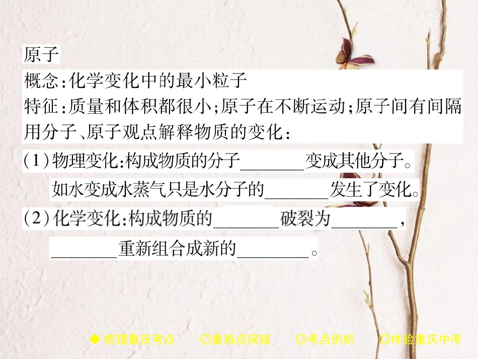 （重庆专版）中考化学总复习 第一篇 教材知识梳理 模块二 化学基本概念和原理 第11讲 物质的组成和构成课件(1)_第3页