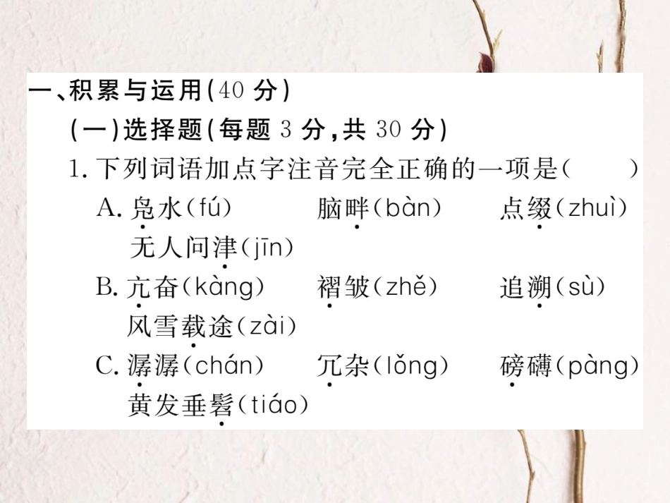 八年级语文下册 期中检测卷课件 新人教版(1)_第2页