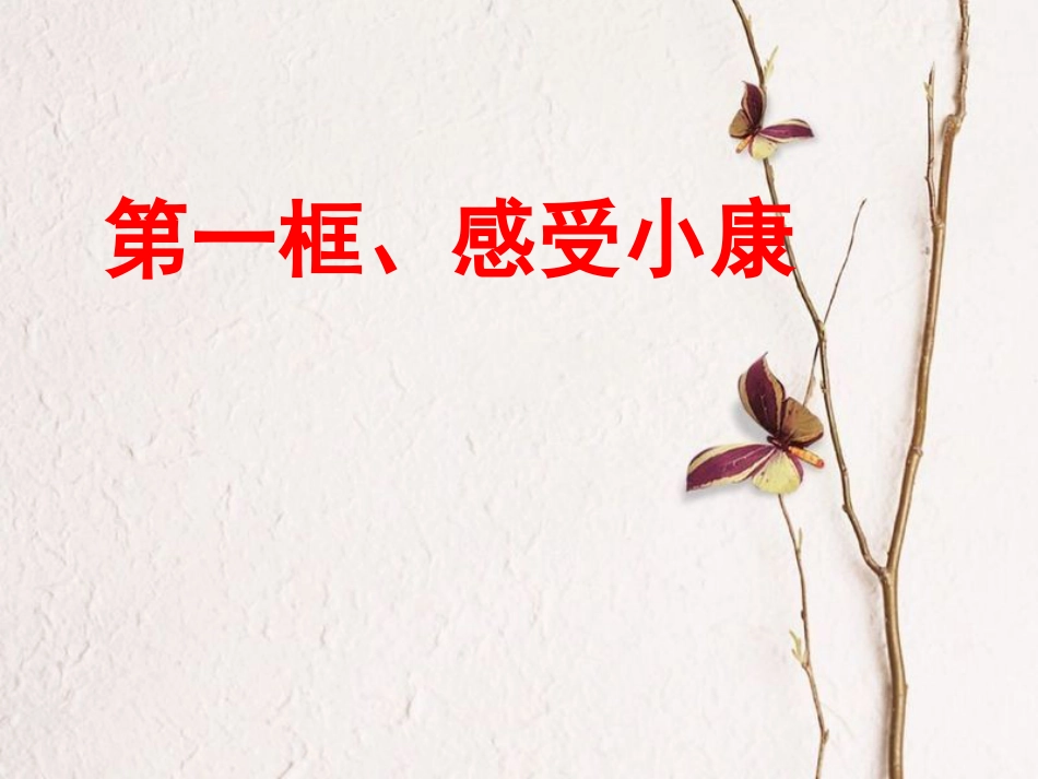 九年级政治全册 第二单元 财富论坛 第四课《走向小康》课件2 教科版(1)_第2页