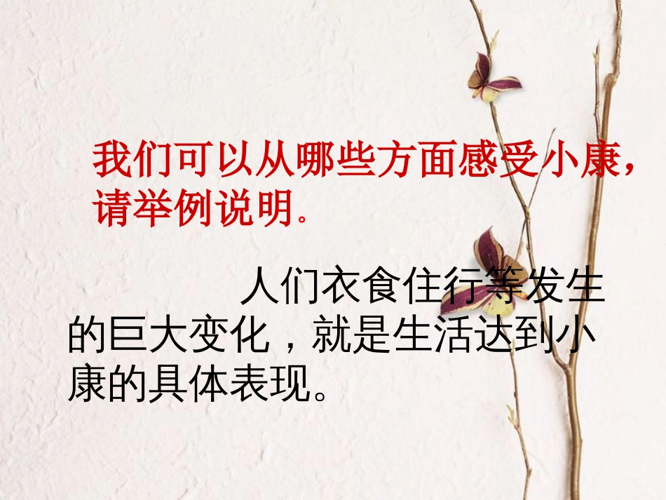 九年级政治全册 第二单元 财富论坛 第四课《走向小康》课件2 教科版(1)_第3页