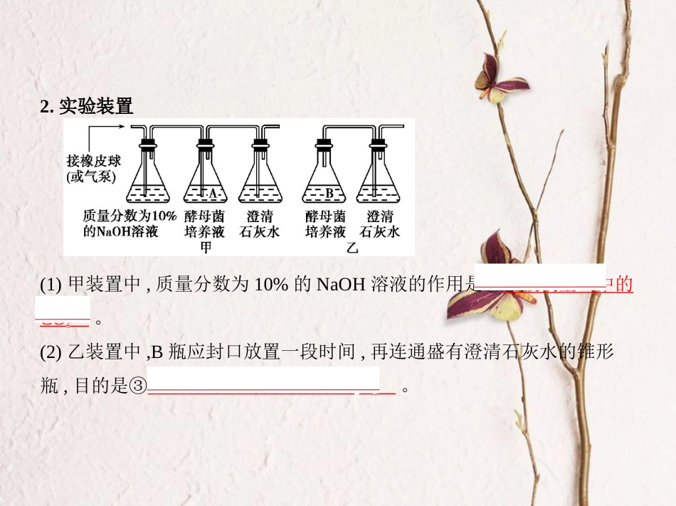 （新课标）2019版高考生物一轮复习 专题5 细胞呼吸课件[共34页]_第3页