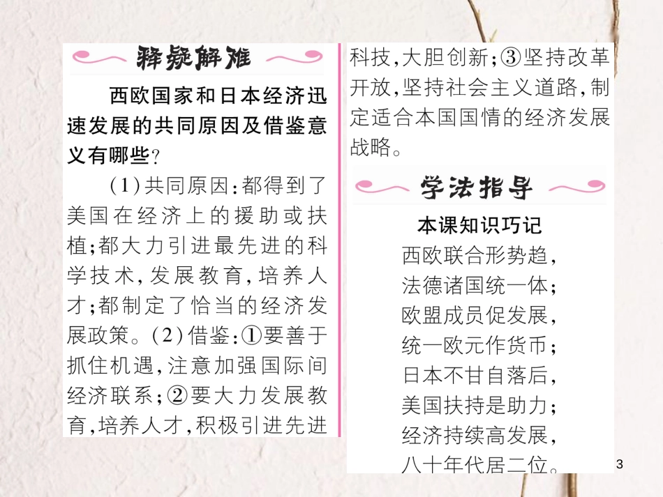 九年级历史下册 第四单元 战后主要资本主义国家的发展变化 第9课 西欧和日本经济的发展作业课件1 新人教版_第3页
