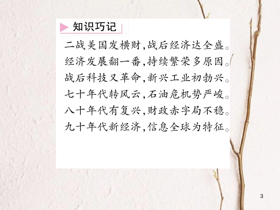 九年级历史下册 第四单元 战后主要资本主义国家的发展变化 第8课 美国经济的发展作业课件2 新人教版_第3页
