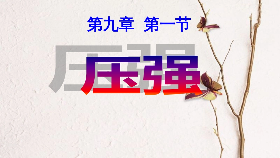 八年级物理下册 9.1《压强》课件 （新版）教科版(1)_第2页