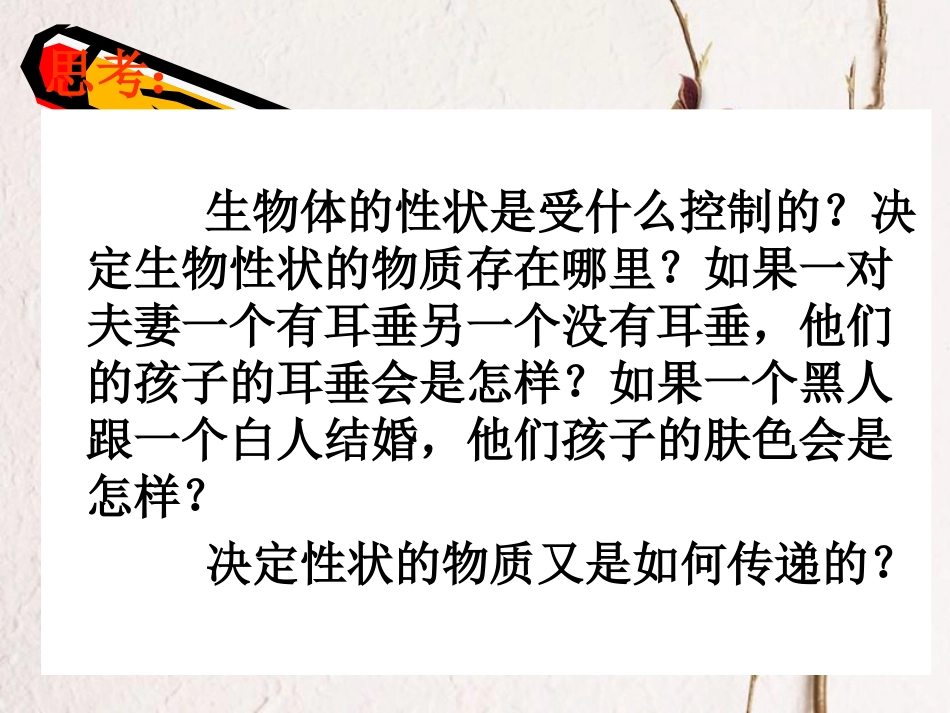 广东省深圳市八年级生物上册 20.2 性状遗传的物质基础课件 （新版）北师大版(1)_第3页