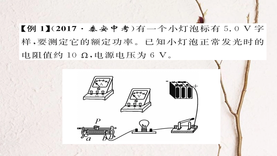 九年级物理全册 专题复习（5）测量小灯泡的电功率习题课件 （新版）新人教版(1)_第3页