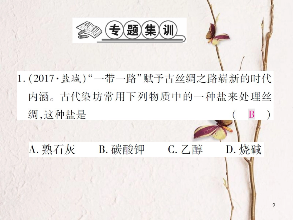 九年级化学下册 专题特训 盐的性质习题课件 （新版）鲁教版_第2页