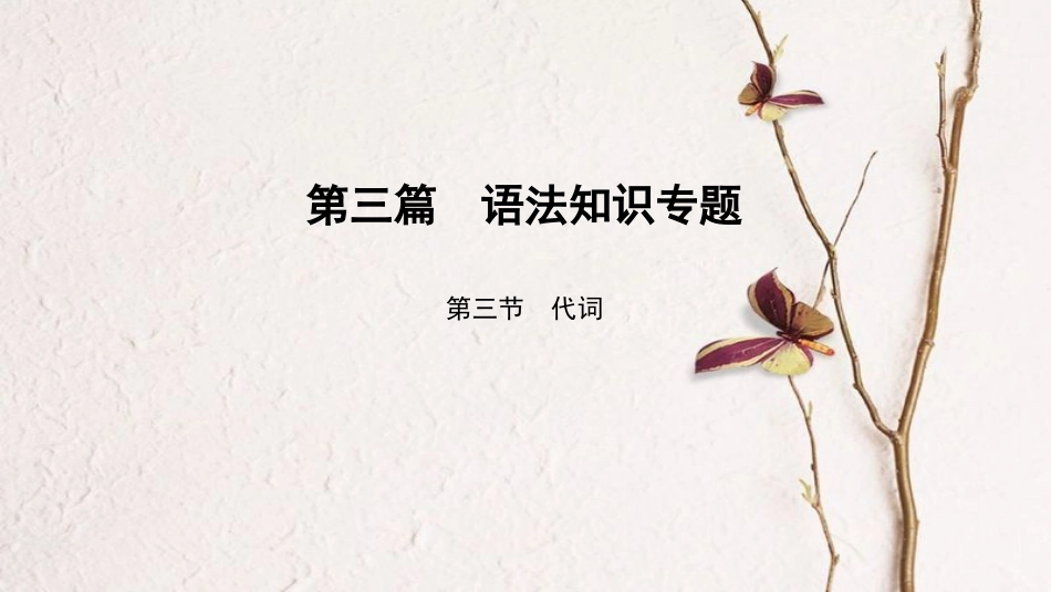 中考英语总复习 第3篇 语法知识专题 第3节 代词课件 人教新目标版(1)_第1页