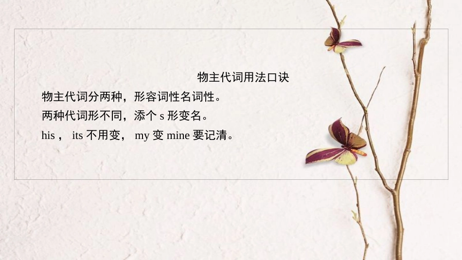 中考英语总复习 第3篇 语法知识专题 第3节 代词课件 人教新目标版(1)_第3页