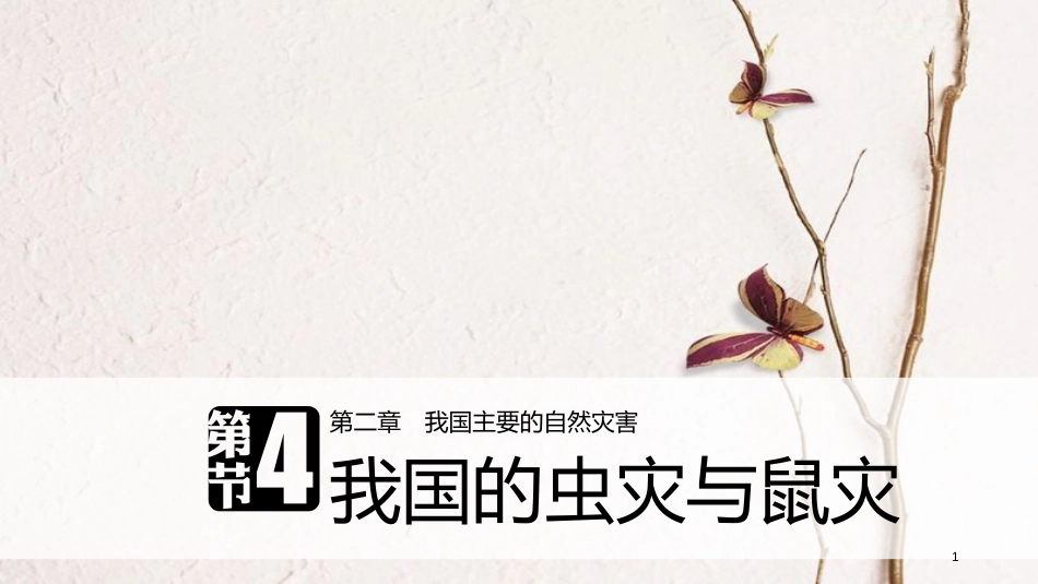 高中地理 第二章 我国主要的自然灾害 第四节 我国的虫灾与鼠灾课件 湘教版选修5(1)_第1页