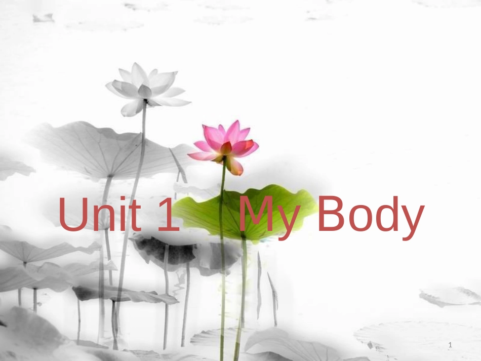 三年级英语下册 Unit 1 My Body part a课件 陕旅版_第1页