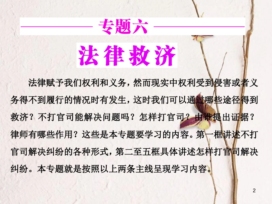 高中政治 专题六 法律救济 第一框 不打官司解决纠纷课件 新人教版选修5_第2页