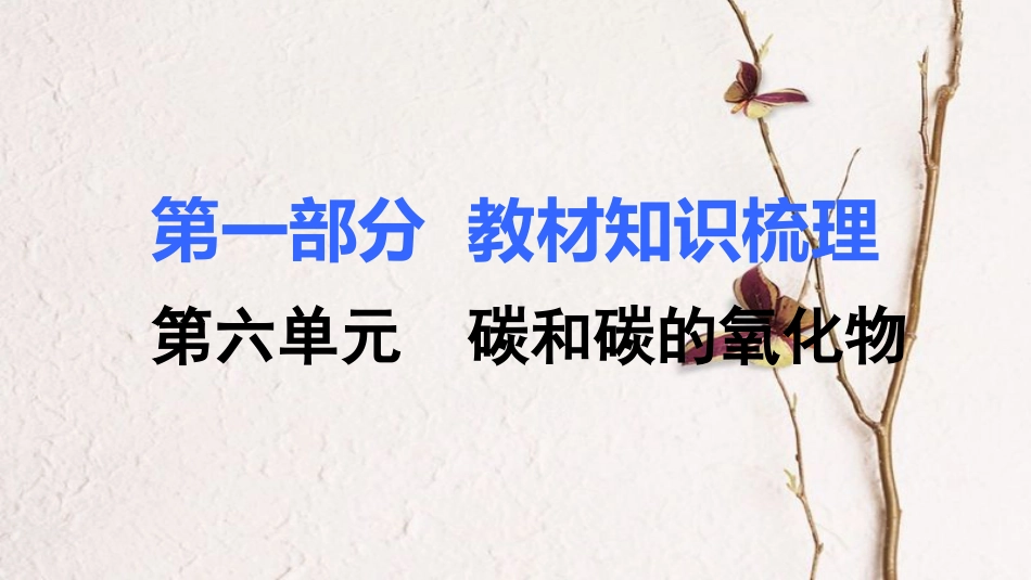 湖南省中考化学 第六单元 碳和碳的氧化物课件_第1页