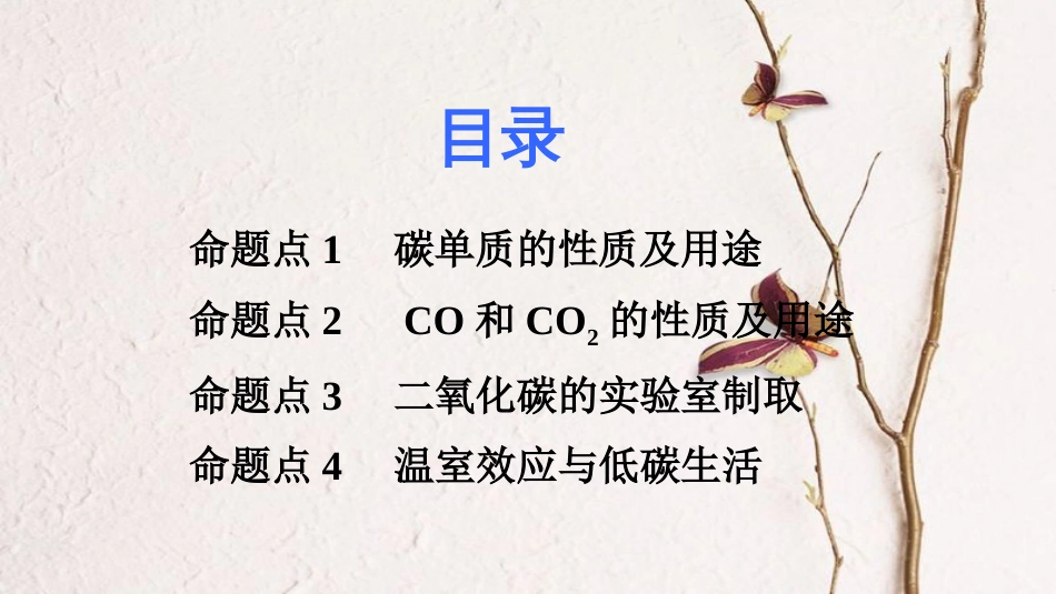 湖南省中考化学 第六单元 碳和碳的氧化物课件_第2页