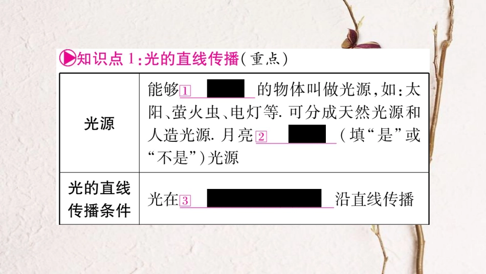 中考物理一轮复习 第4讲 光现象课件 新人教版(1)_第2页