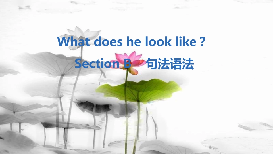 七年级英语下册 Unit 9 What does he look like Section B句法语法课件 （新版）人教新目标版_第1页