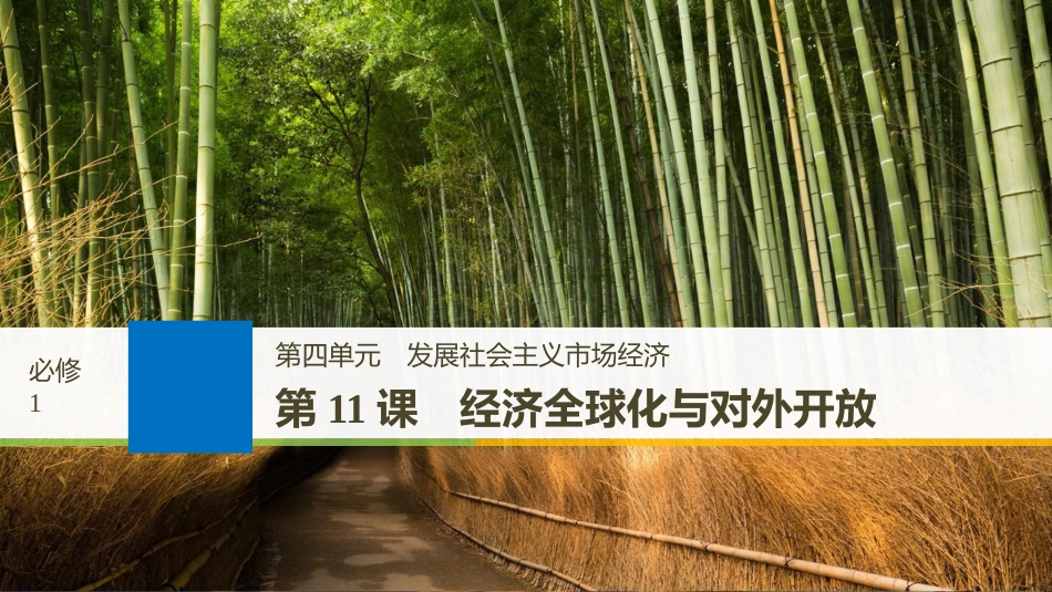 2019届高考政治一轮复习 第四单元 发展社会主义市场经济 第11课 经济全球化与对外开放课件 新人教版必修1_第1页