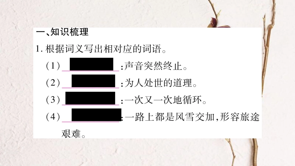 八年级语文下册 期末复习专题2 词语的理解和运用课件 新人教版_第2页