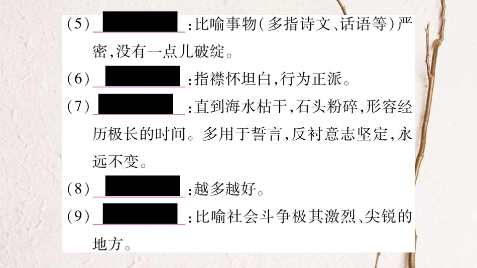 八年级语文下册 期末复习专题2 词语的理解和运用课件 新人教版_第3页