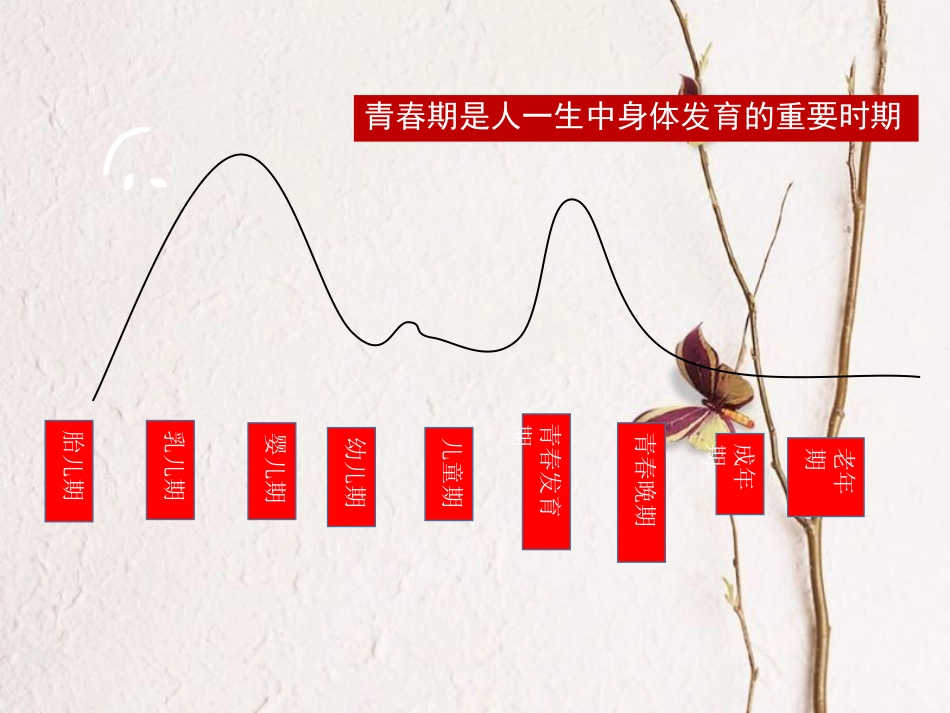 七年级道德与法治下册 第一单元 青春时光 第一课 青春的邀约 第一框 悄悄变化的我课件 新人教版(1)_第2页