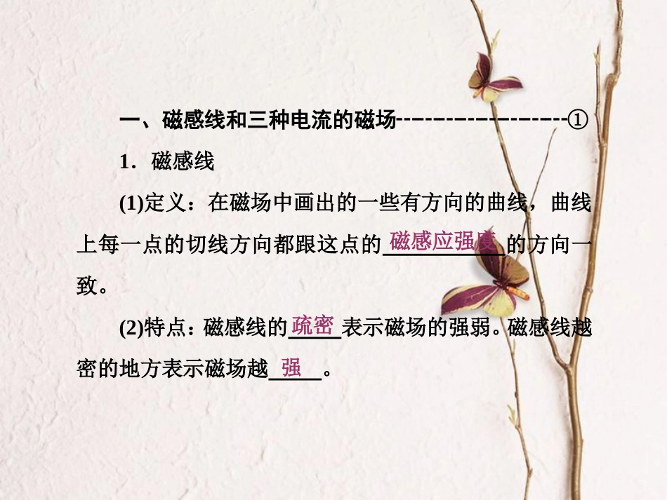 高中物理 第三章 磁场 第3节 几种常见的磁场课件 新人教版选修3-1_第2页